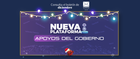 Boletn Diciembre 2018